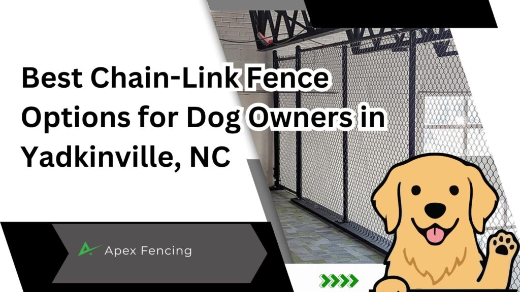 best chain-link fence options for dog owners in Yadkinville, NC with secure backyard enclosure