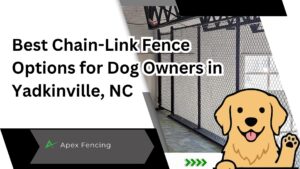 best chain-link fence options for dog owners in Yadkinville, NC with secure backyard enclosure