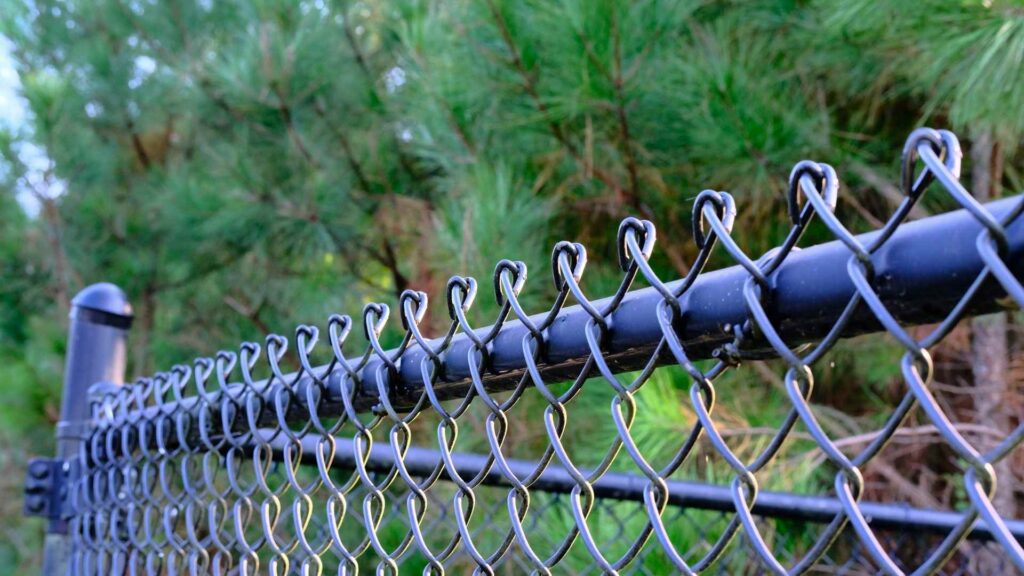Apex Fencing services in Mount Vernon Springs Historic District, NC